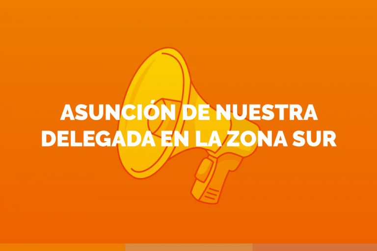Acto de Asunción · Delegación Sur