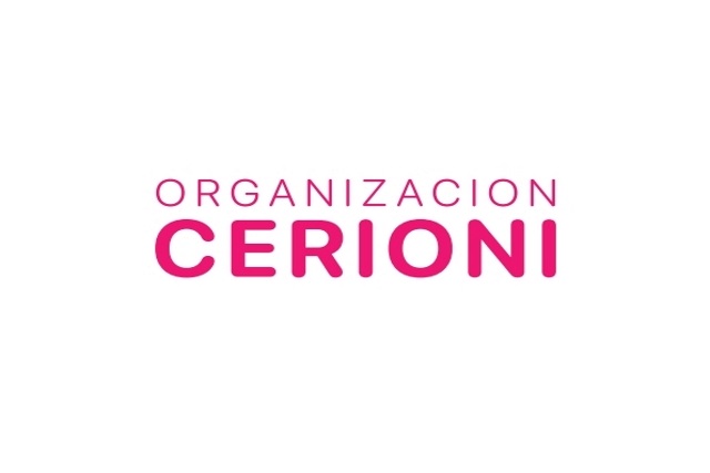 Seguro Profesional