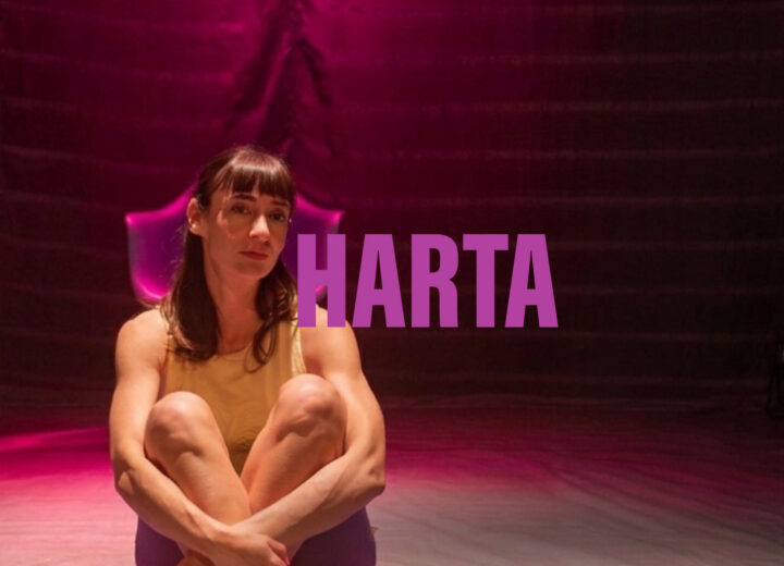 Una obra de teatro para pensar en clave de salud mental